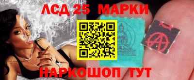 прущие крисы Кингисепп