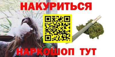 прущие крисы Кингисепп