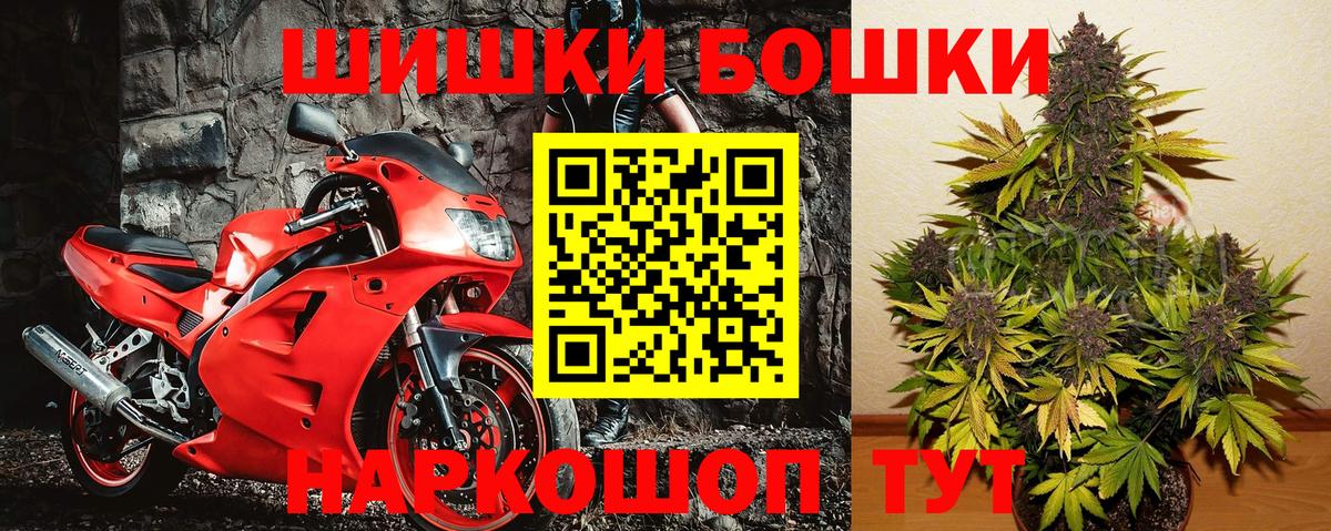 Бошки марихуана план  Тайшет  Конопля ГИДРОПОН 