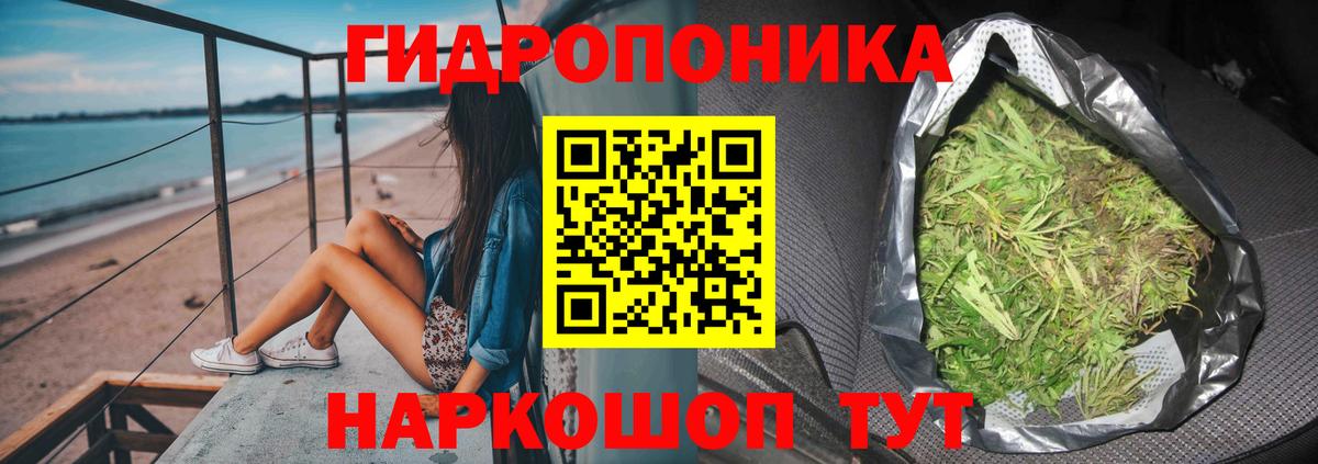 Бошки марихуана сатива Тайшет